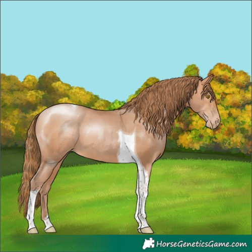 Horse Color:Bay Pearl Tobiano 