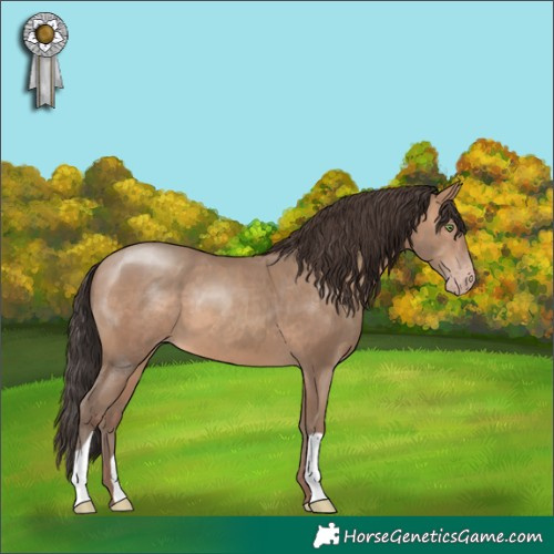 Horse Color:Sable Champagne