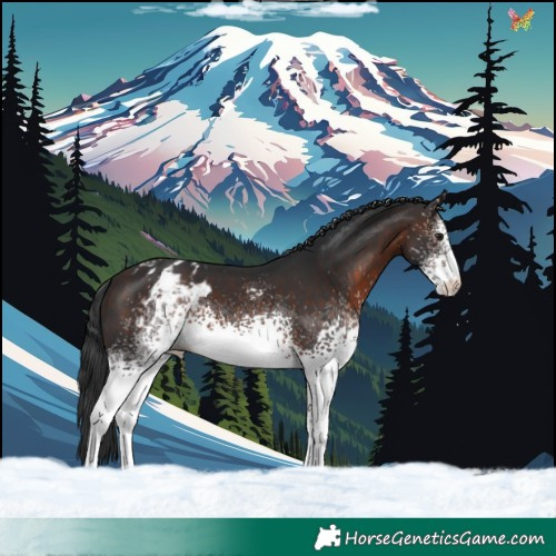 Horse Color:White Spotted Brown Varnish 