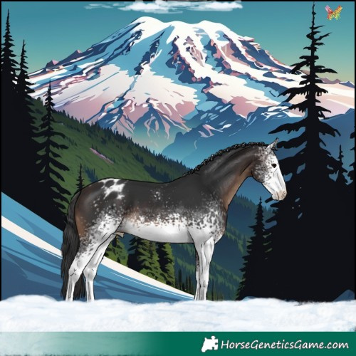 Horse Color:White Spotted Brown Varnish