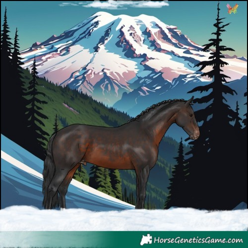 Horse Color:Brown Varnish