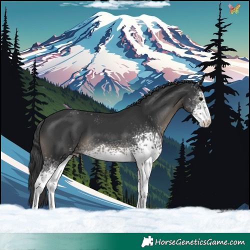 Horse Color:White Spotted Black Varnish