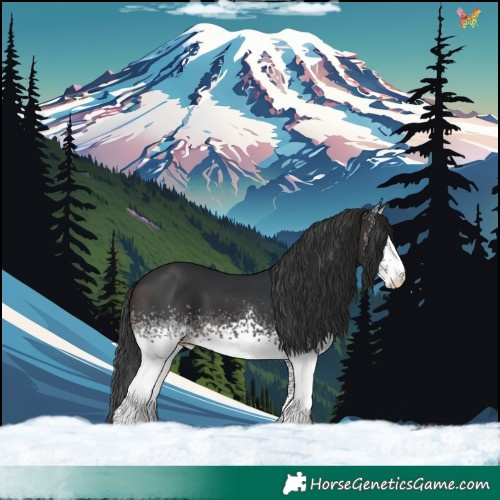 Horse Color:White Spotted Brown