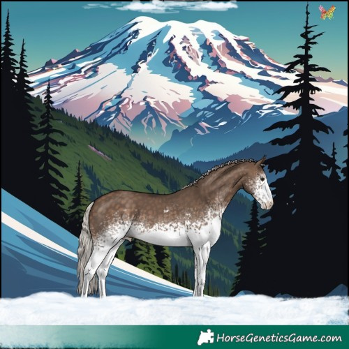 Horse Color:White Spotted Silver Brown Dun