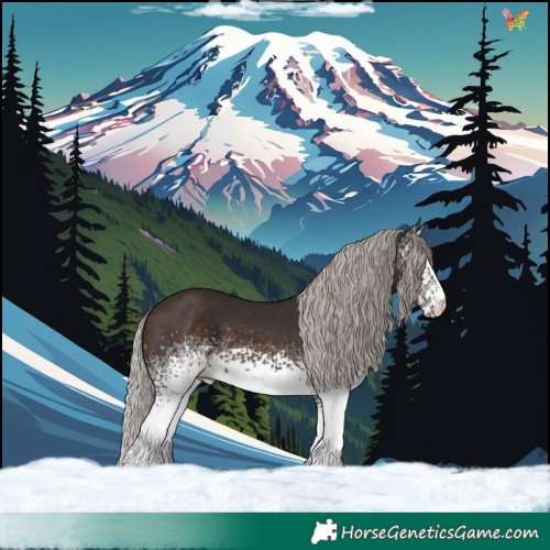 Horse Color:White Spotted Silver Brown 