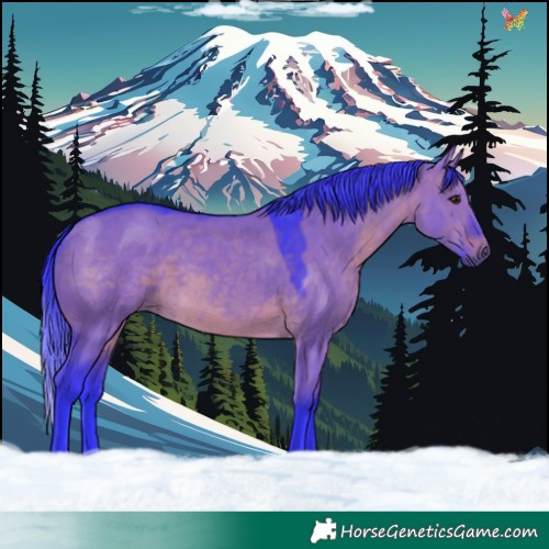 Horse Color:Watercolor Brown Dun