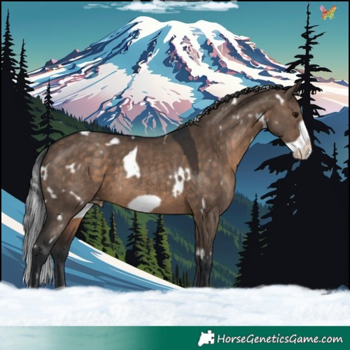 Horse Color:White Spotted Brown Dun Frame Varnish