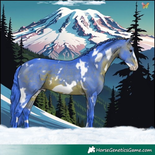 Horse Color:Watercolor White Spotted Brown Frame Varnish