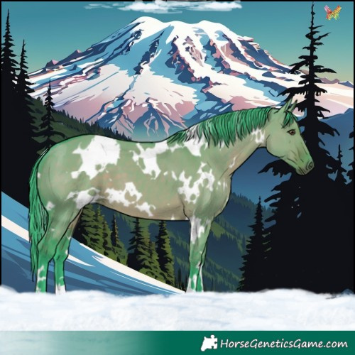 Horse Color:Watercolor White Spotted Liver Red Dun