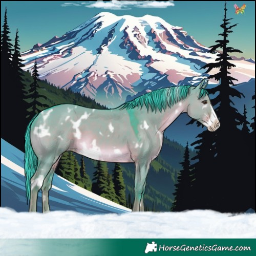 Horse Color:Watercolor White Spotted Liver Red Dun Frame Varnish