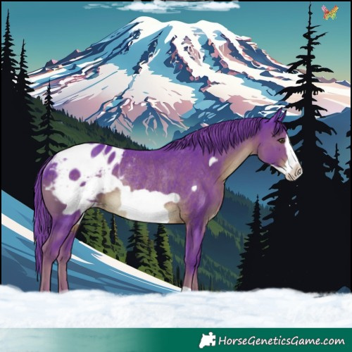 Horse Color:Watercolor Liver Chestnut Frame Blanket Rabicano