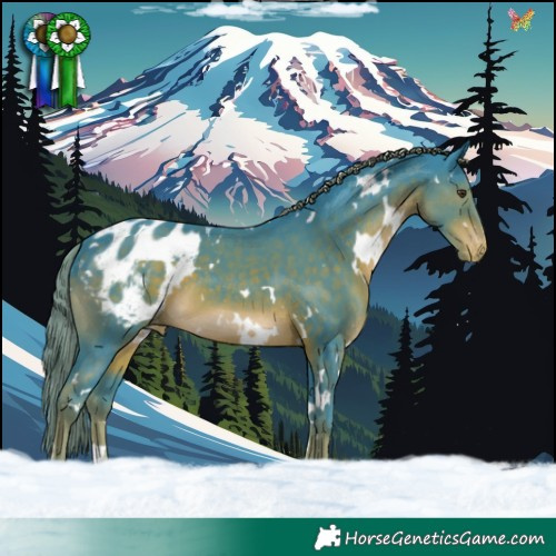 Horse Color:Watercolor White Spotted Liver Chestnut Blanket