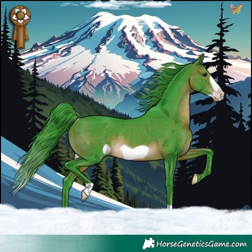 Horse Color:Watercolor Brown Frame Rabicano
