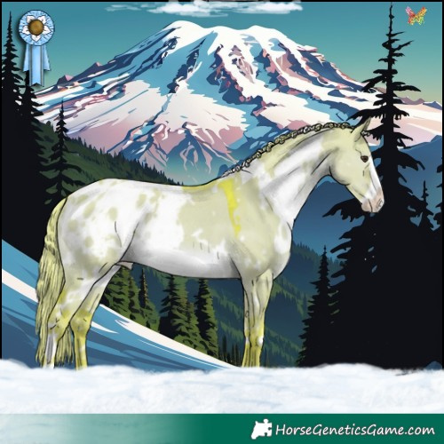 Horse Color:Watercolor White Spotted Liver Red Dun Frame Blanket Rabicano