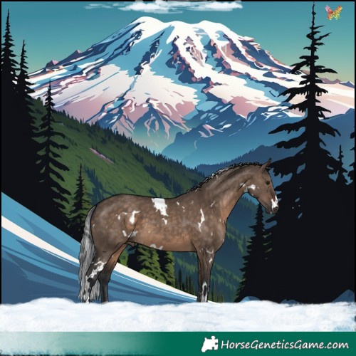 Horse Color:White Spotted Brown Dun