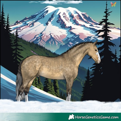 Horse Color:Buckskin Dun