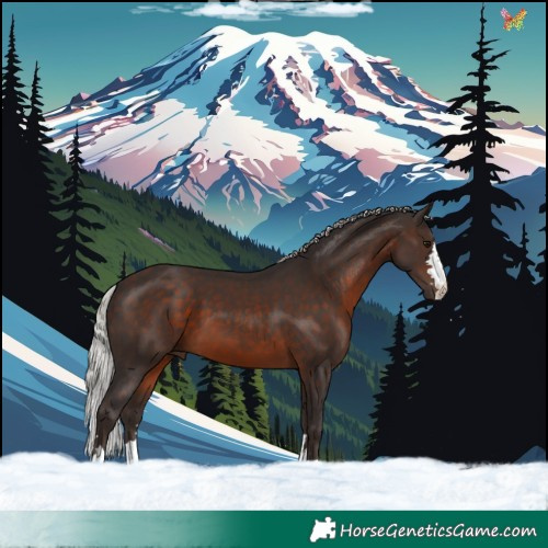 Horse Color:Silver Brown
