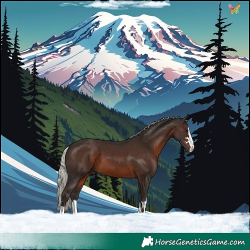 Horse Color:Silver Brown