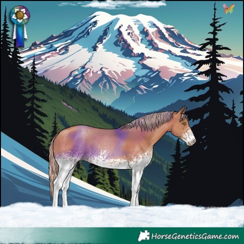 Horse Color:White Spotted Gold Champagne
