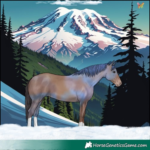 Horse Color:Classic Champagne 