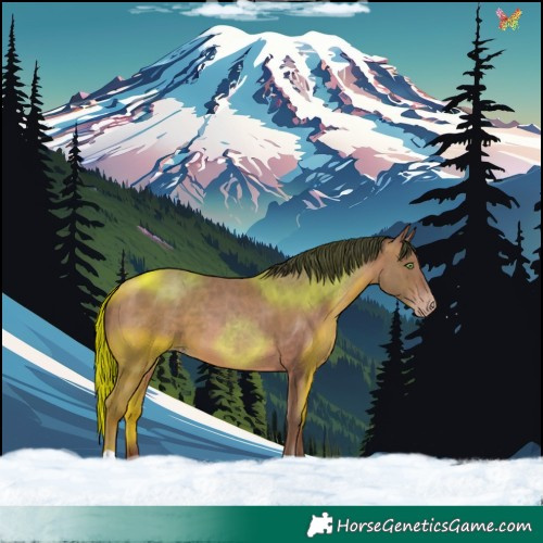 Horse Color:Sable Champagne