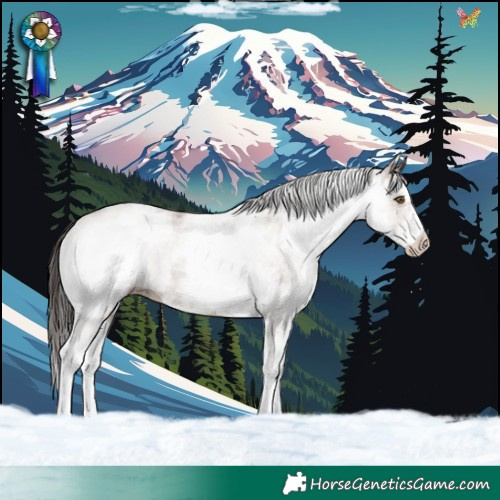 Horse Color:White Spotted Classic Champagne