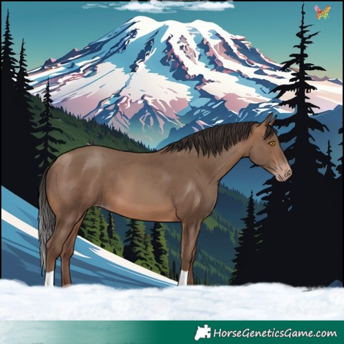 Horse Color:Sable Champagne