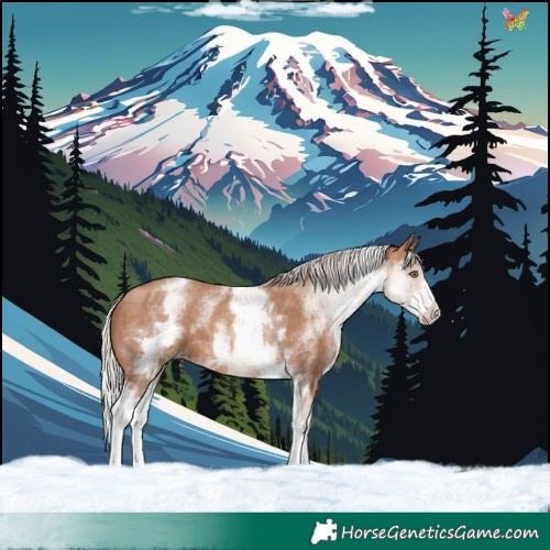 Horse Color:White Spotted Silver Sable Champagne