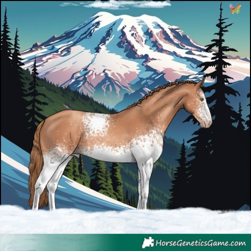 Horse Color:White Spotted Gold Champagne