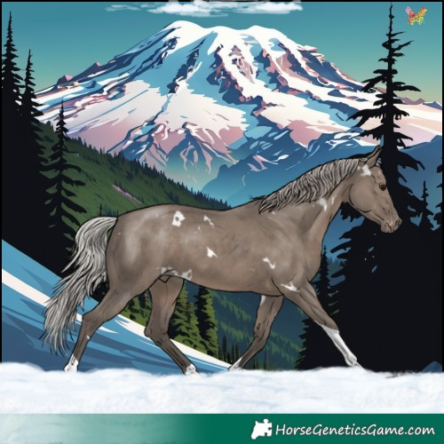 Horse Color:White Spotted Silver Grullo Tobiano Varnish Rabicano