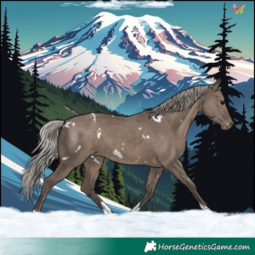Horse Color:White Spotted Silver Grullo Tobiano Varnish Rabicano