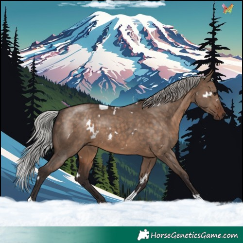 Horse Color:White Spotted Silver Brown Dun Tobiano Rabicano 