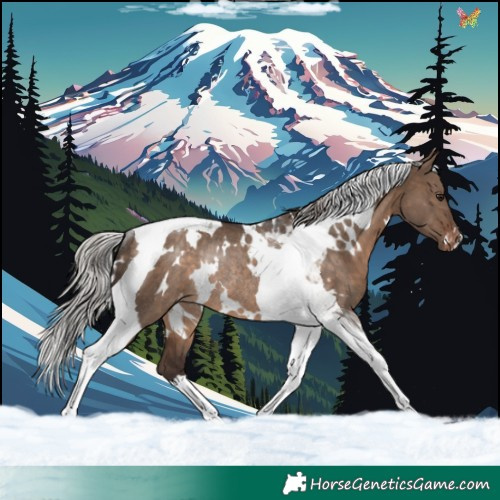Horse Color:White Spotted Silver Brown Dun Tobiano Varnish Rabicano 