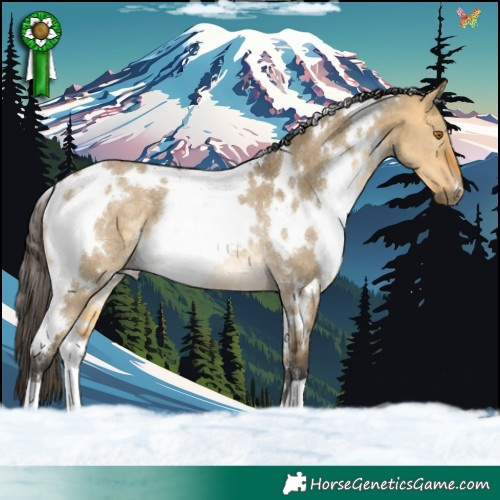 Horse Color:White Spotted Buckskin Dun Rabicano 