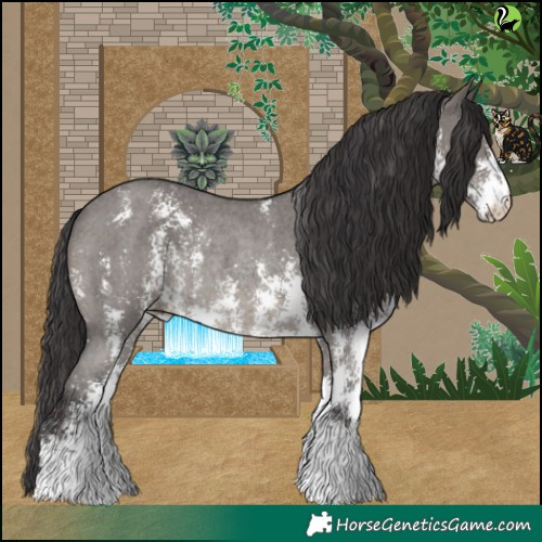 Horse Color:Smoky Grullo Sabino Rabicano