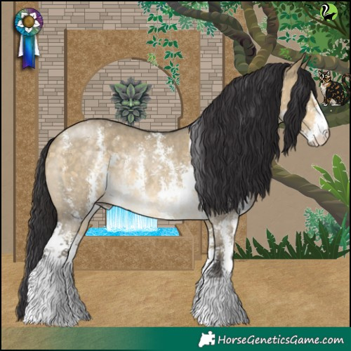 Horse Color:Buckskin Dun Sabino Rabicano 
