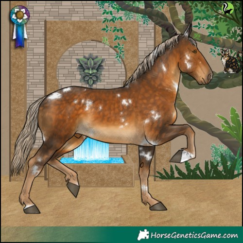 Horse Color:White Spotted Chocolate Palomino 