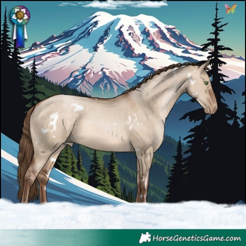 Horse Color:White Spotted Brown Pearl Dun 