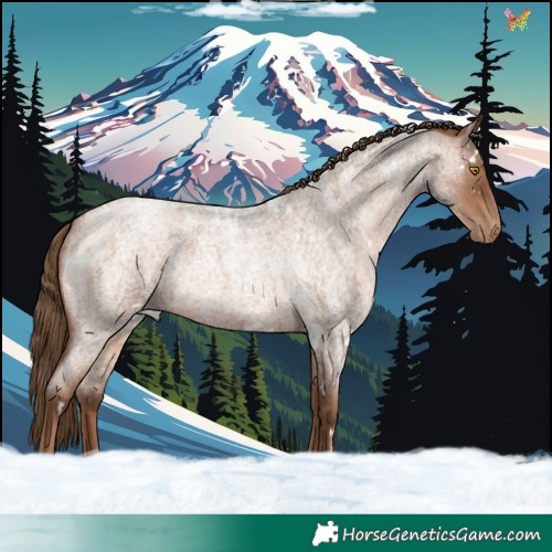 Horse Color:White Spotted Brown Roan Pearl Rabicano 