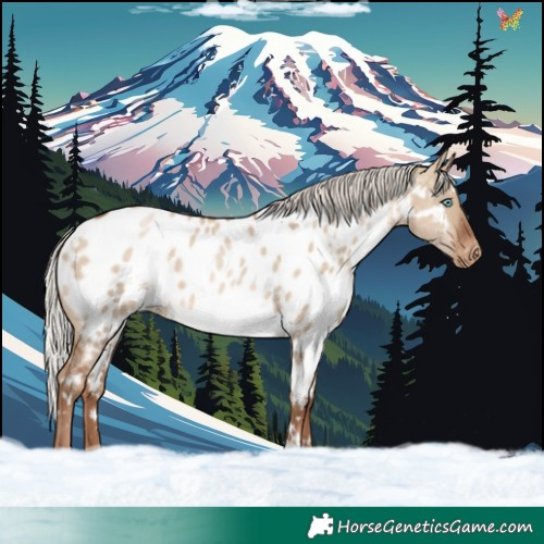 Horse Color:White Spotted Silver Brown Pearl Dun Blanket