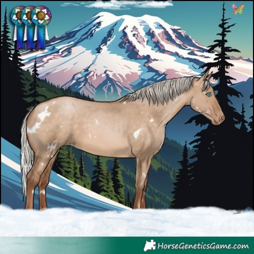 Horse Color:White Spotted Silver Brown Pearl Dun Rabicano