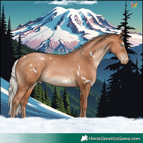 Horse Color:White Spotted Silver Brown Pearl