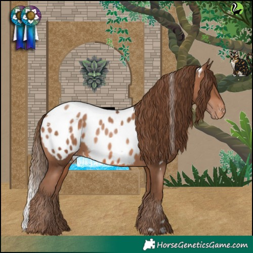 Horse Color:White Spotted Brown Pearl Blanket Rabicano