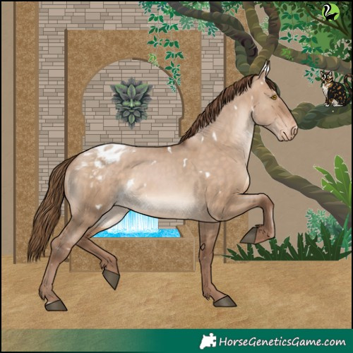 Horse Color:White Spotted Brown Pearl Dun Varnish Rabicano
