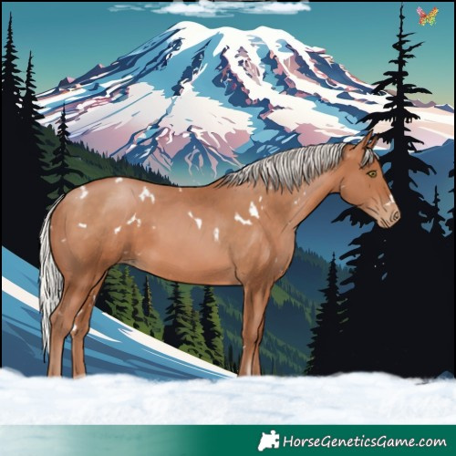 Horse Color:White Spotted Silver Brown Pearl Rabicano