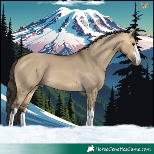 Horse Color:White Spotted Buckskin Dun