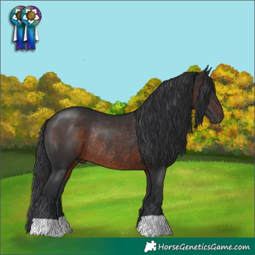 Horse Color:Brown Rabicano
