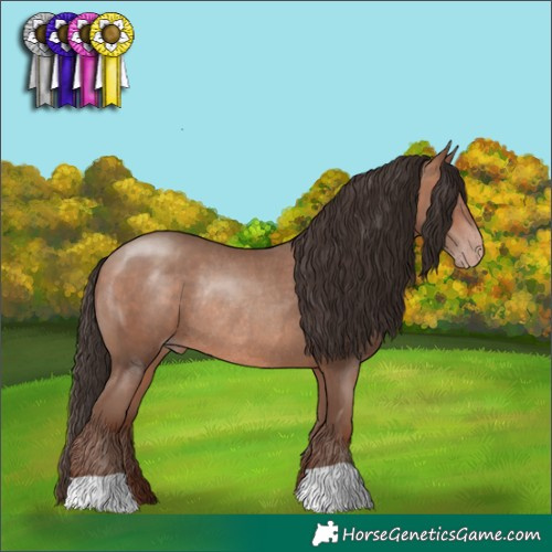 Horse Color:Sable Champagne Rabicano