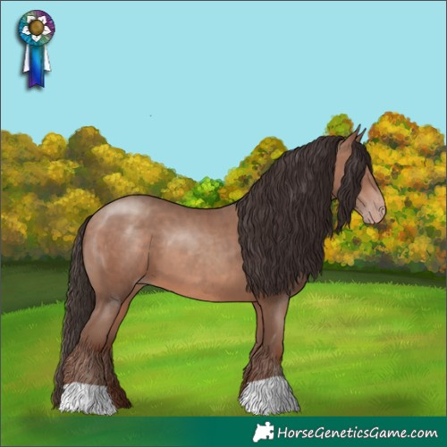 Horse Color:Sable Champagne 