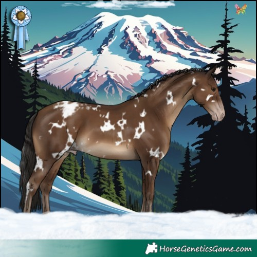 Horse Color:Gray White Spotted Classic Champagne Varnish
